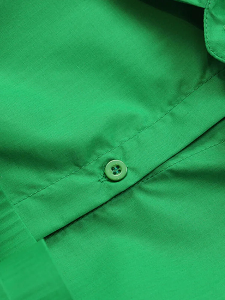 Vionette Lapel Puff Sleeve Shirt