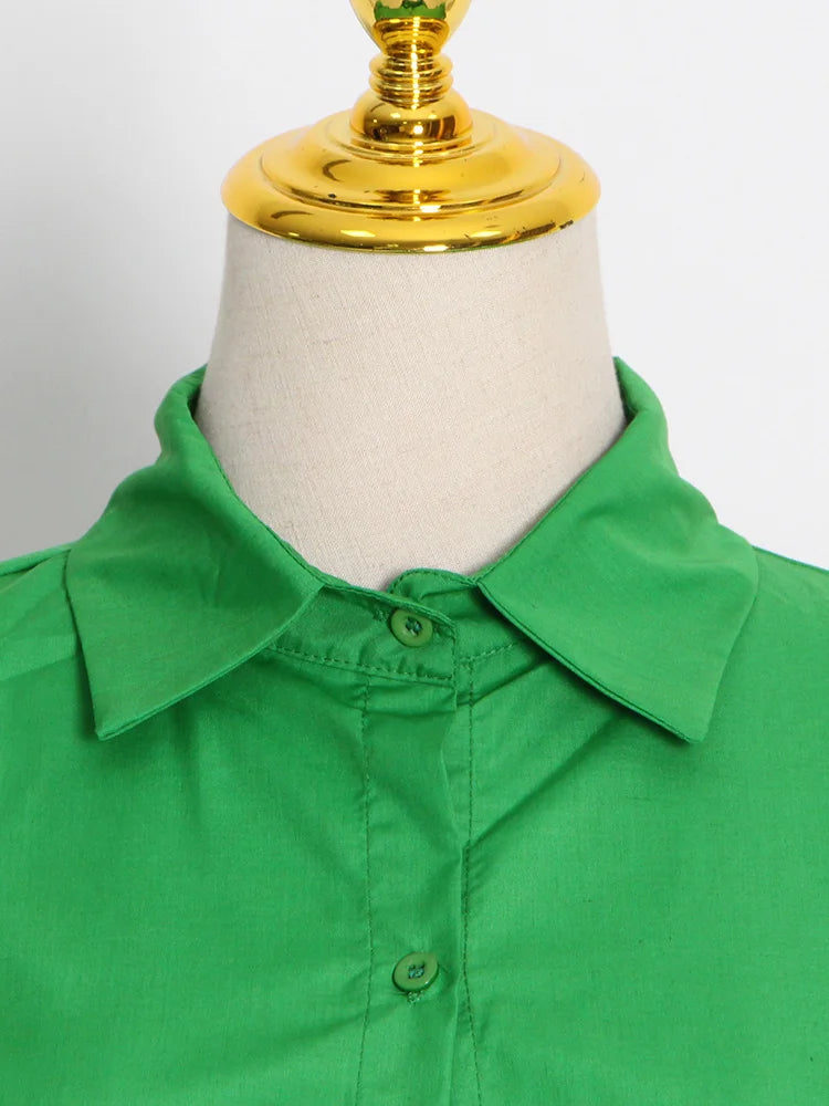 Vionette Lapel Puff Sleeve Shirt